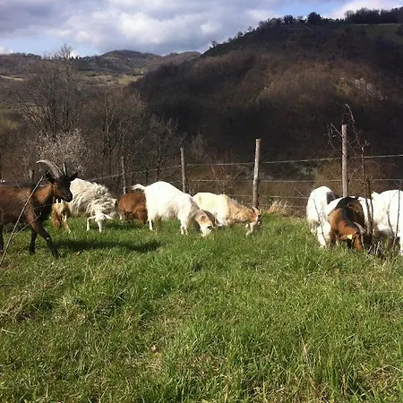 Il Covo Del Solengo Farmház