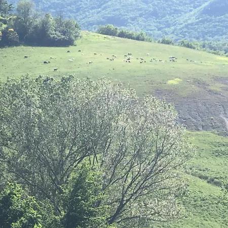 مزرعة للإقامة Il Covo Del Solengo Natura Animali A Due Passi Da Assisi