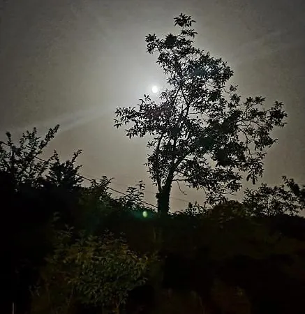 Фермерский дом Il Covo Del Solengo