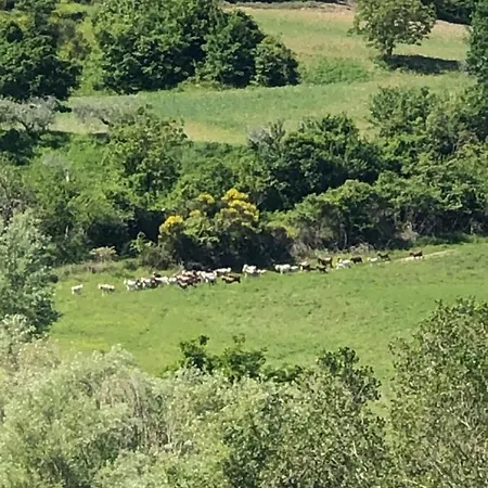 Bauernhof Il Covo Del Solengo Natura Animali A Due Passi Da Assisi *