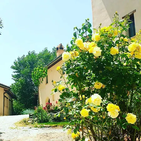 Il Covo Del Solengo * Valtopina