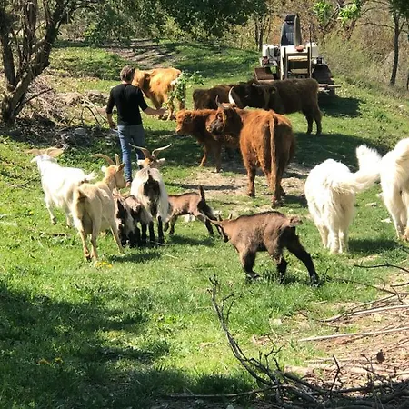 Il Covo Del Solengo Valtopina