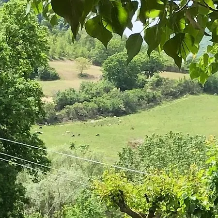 Il Covo Del Solengo Natura Animali A Due Passi Da Assisi Bauernhof *
