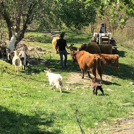 Il Covo Del Solengo Natura Animali A Due Passi Da Assisi
