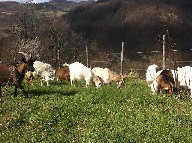 Il Covo Del Solengo Farm stay