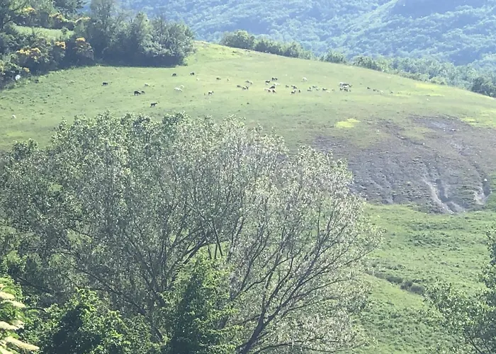 Farm stay Il Covo Del Solengo