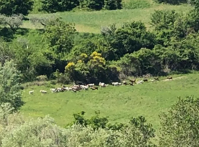 Farm stay Il Covo Del Solengo *