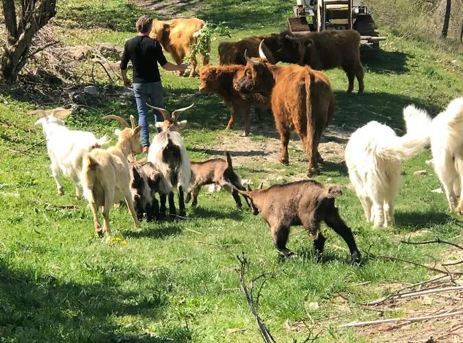 Il Covo Del Solengo Valtopina