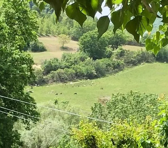 Il Covo Del Solengo Farm stay *